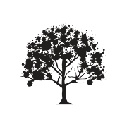 Boiskouv Consulting Boiskouv Consulting